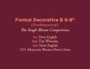 Formal Decorative B 6 Amateur
